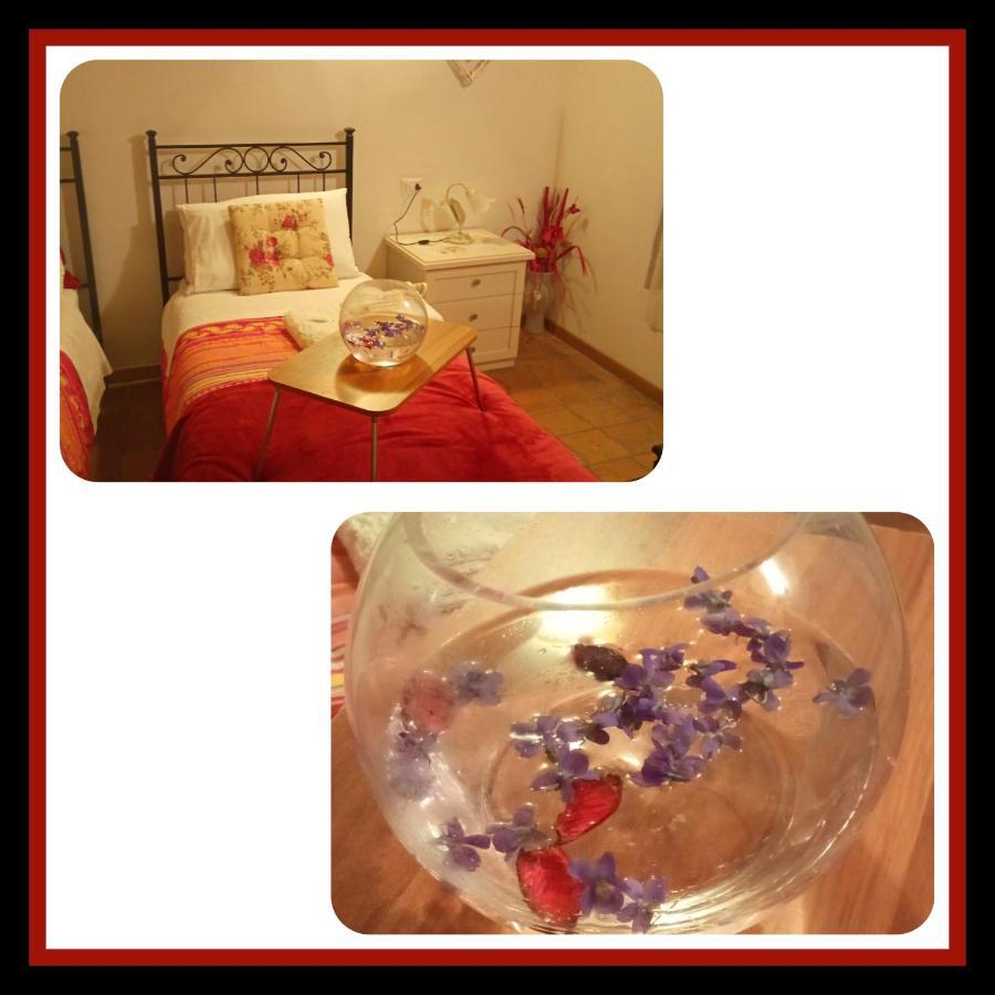 Felix House Bed & Breakfast Codevilla Luaran gambar